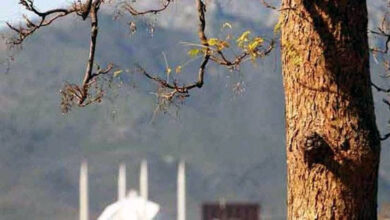 Dry weather forecast calls for higher food prices and billions in farm losses