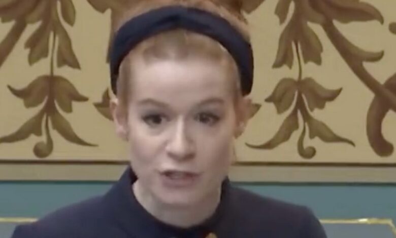 Michigan state senator delivers fiery rebuke after colleague accuses her of grooming kids