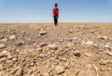 U n panel warns of global warmings toll on humans and nature