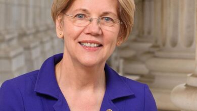 Elizabeth warren warns dems could be headed toward big losses in midterms