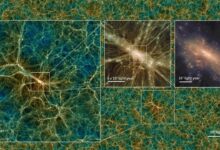 Cosmic simulation shows how dark matter deficient galaxies confront goliath and survive