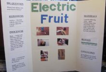 Science fair grade projects project 7th ideas 8th graders easy winning th attractive list unique eight most testable good beautiful