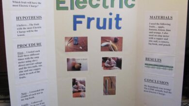 Science fair grade projects project 7th ideas 8th graders easy winning th attractive list unique eight most testable good beautiful