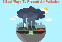 How to clear the air in the most polluted cities on earth