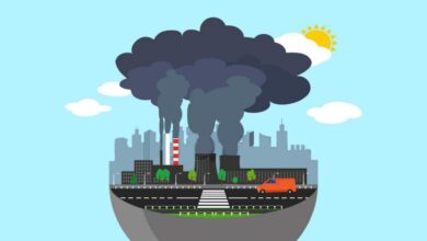 How to clear the air in the most polluted cities on earth