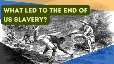 Analysis slavery was never an american economic engine