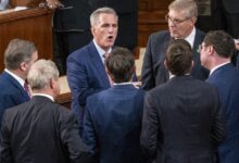 House gop leader kevin mccarthy backs liz cheneys primary challenger harriet hageman