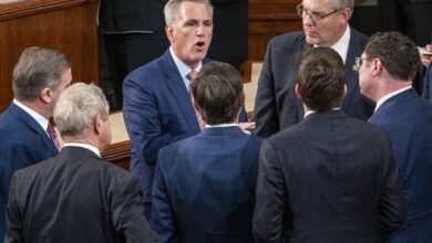 House gop leader kevin mccarthy backs liz cheneys primary challenger harriet hageman